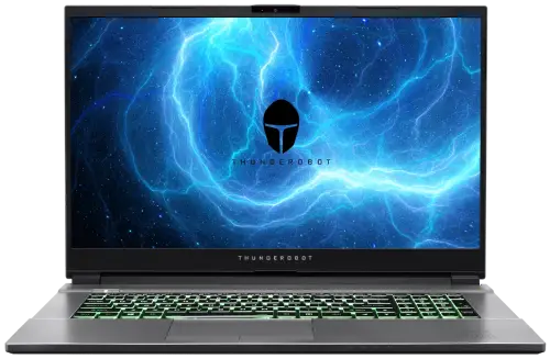  Ремонт Thunderobot 911 Plus Pro D